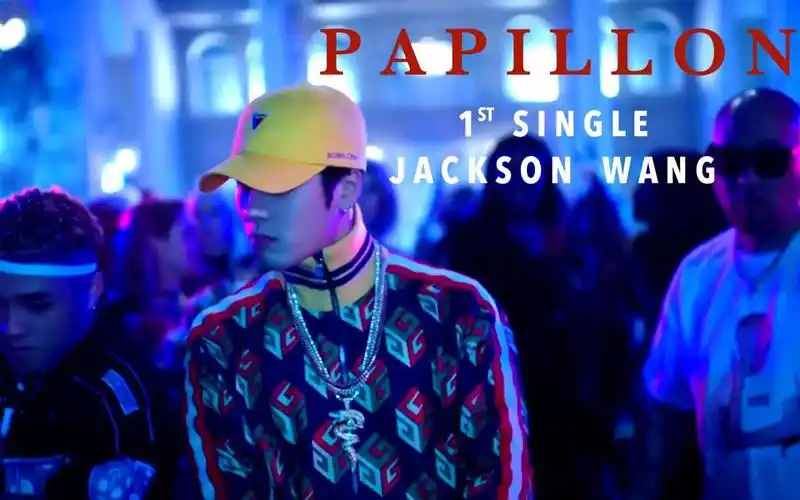 【王嘉尔papillon】个人舞台,mv,fm混剪