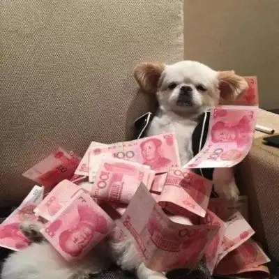 有趣搞怪适合微信用的头像