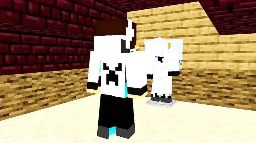 mc实体202视频在线观看 - 西瓜视频