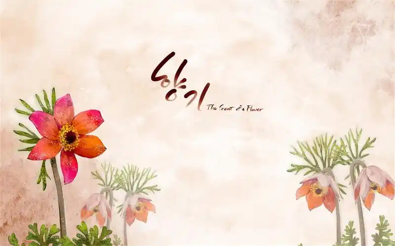 简约精美花卉背景高清壁纸