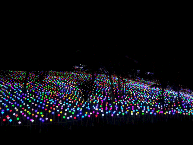 640_480gif 动态图 动图