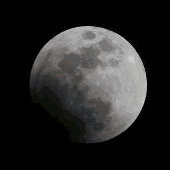 341_341gif 动态图 动图