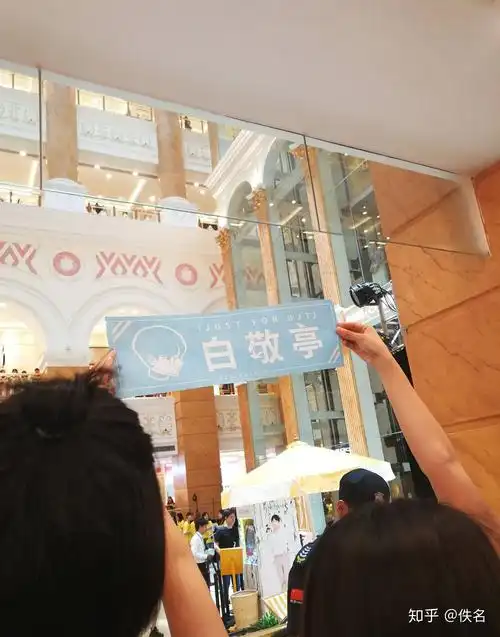 白敬亭的应援色是什么