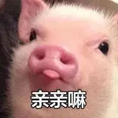 撩人表情包你敢不敢发给你女朋友