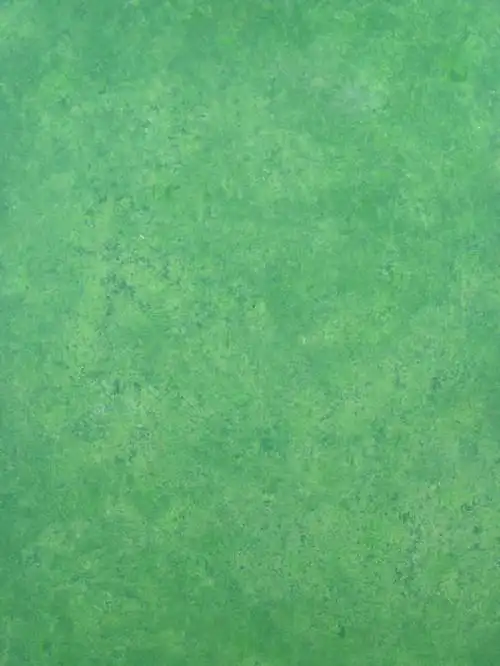 500_666竖版 竖屏