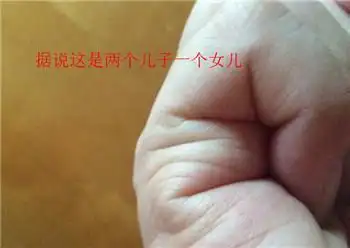 从手纹看未来有几个孩子还能看男女?