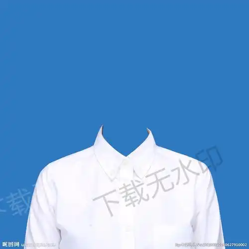 白衬衫半身证件照模板图片
