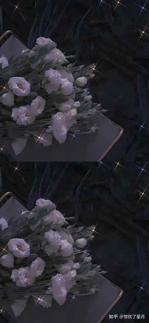 有没有小众高级简约的壁纸