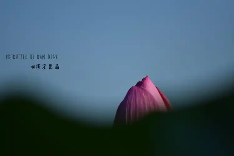 静心.闭眼.