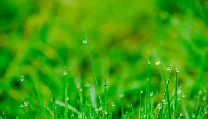 如此回你微信的人,就别联系了