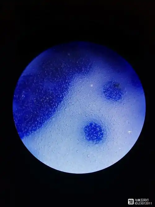 雍正,康熙和宣德青花高清气泡图