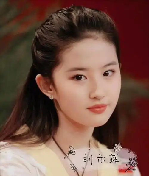 从图中也可以看出,刘亦菲在年轻的时候是真的漂亮.