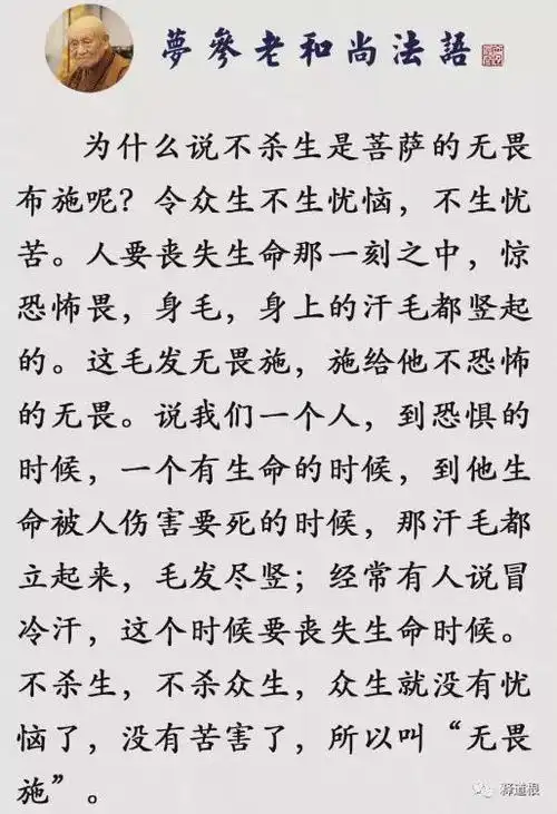 不杀生远离杀生能令你恶的果报消失