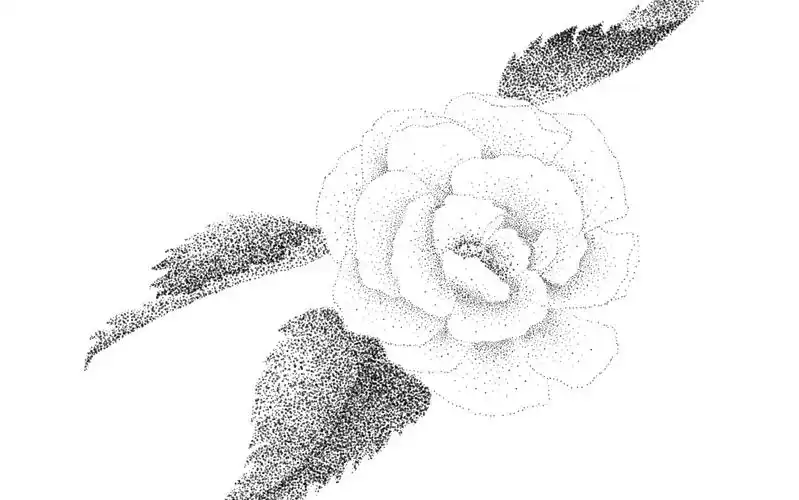 插画简易画花素描点描上色