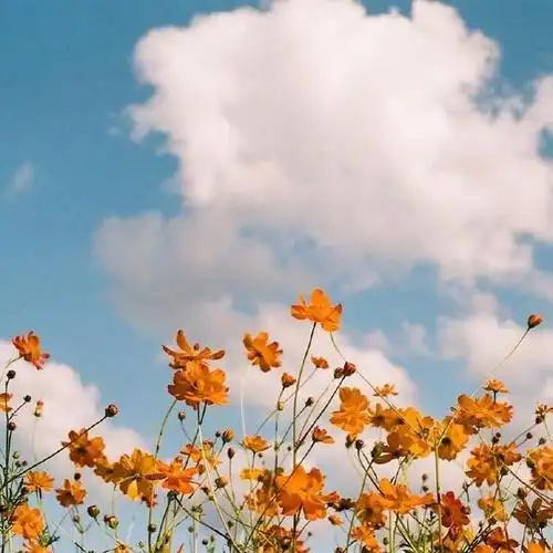 留住美好时光的句子感叹美好时光的唯美语录