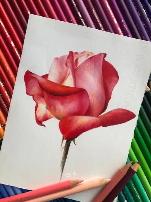 适合新手画的彩铅画