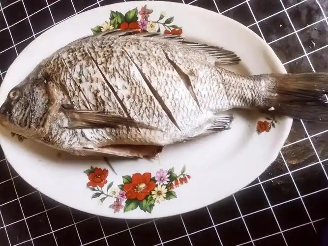 鲷鱼多少钱一斤过年期间吃哪些鱼最好