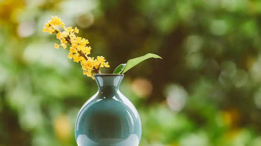 电脑小清新静态壁纸>静物写真 清新唯美桂花4k背景壁纸壁纸壁纸图片