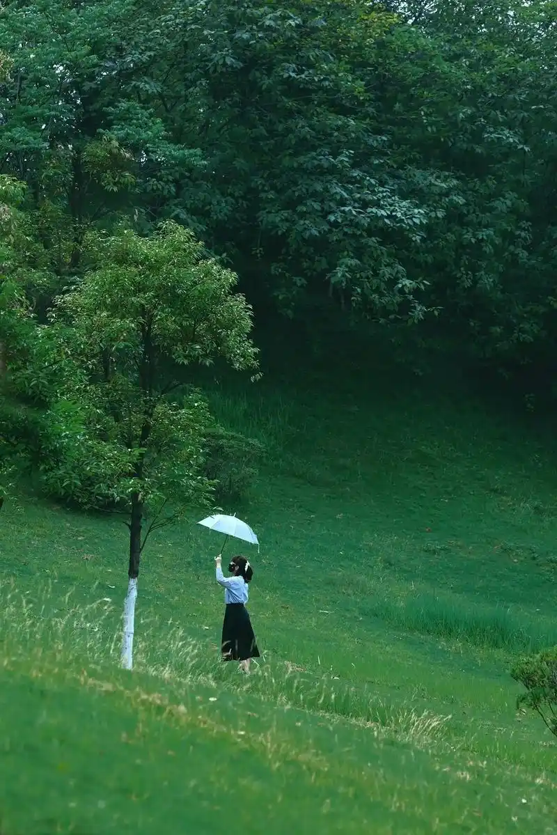 99%重庆人都不知道的公园99太森系文艺.在大竹林已经住了有 - 抖音