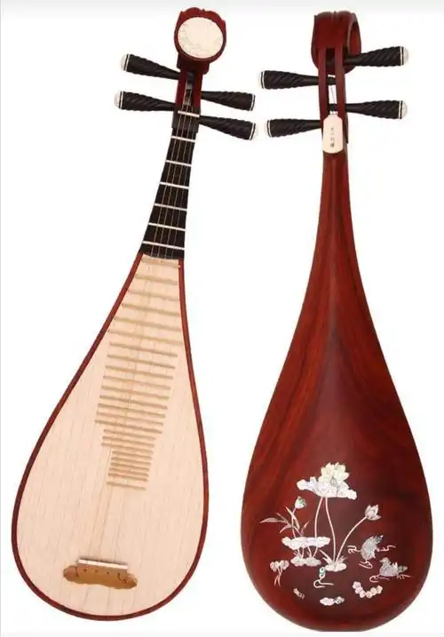 陕西省三维发展实验学校 停课不停学之中国民族乐器