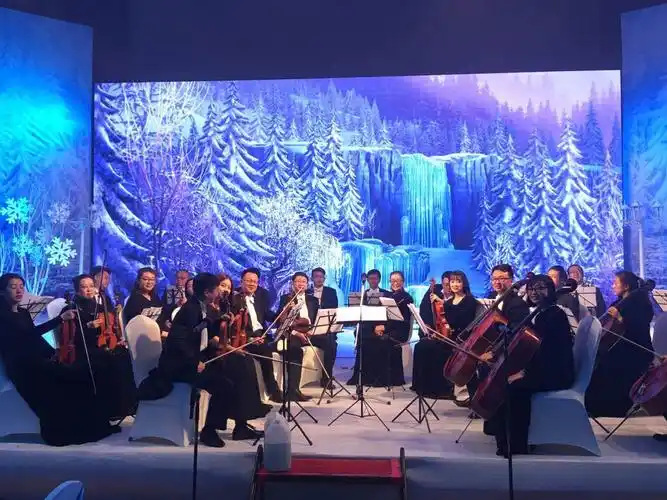 专业管弦乐演出承接各类型大中小型音乐会企业年会定制酒会及各类商业
