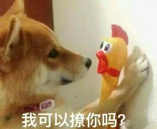 我特吗瞎了 - 斗图表情包 - 斗图神器 - adoutu.com