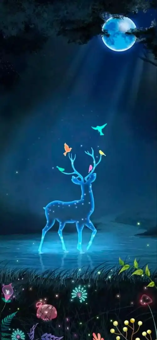 唯美手机壁纸,聊天背景图 - 把心动藏好