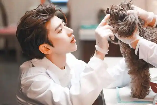 娱乐点评迪丽热巴张艺兴李一桐刘雨昕蔡徐坤张佳宁