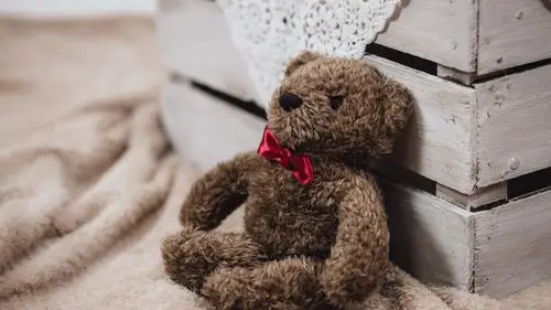 壁纸 泰迪熊玩具,礼物