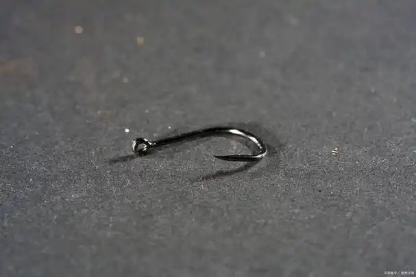 大麦虫钓鱼怎样挂钩