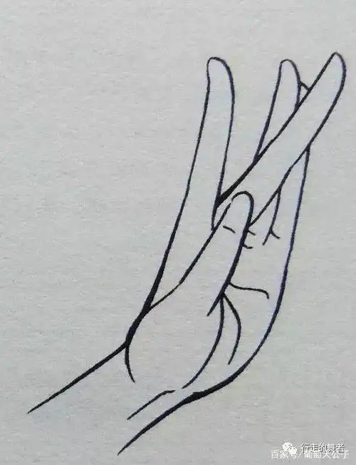 中国古典舞 身韵元素 手型与手态