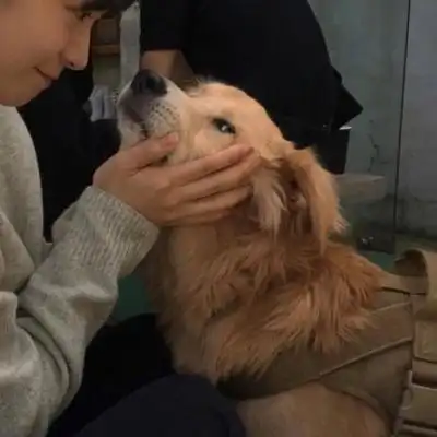 对象是狗的情侣头像高清可爱女孩和狗情头一左一右图片