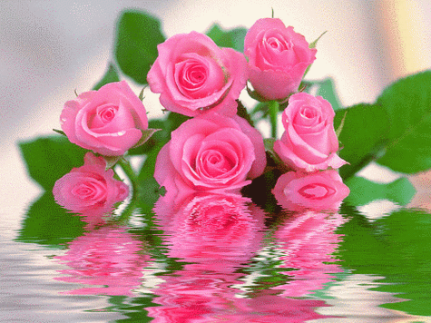 500_375gif 动态图 动图