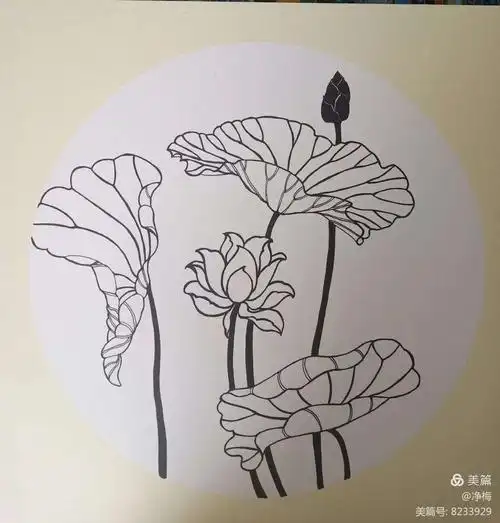 禅意荷花组合系列2