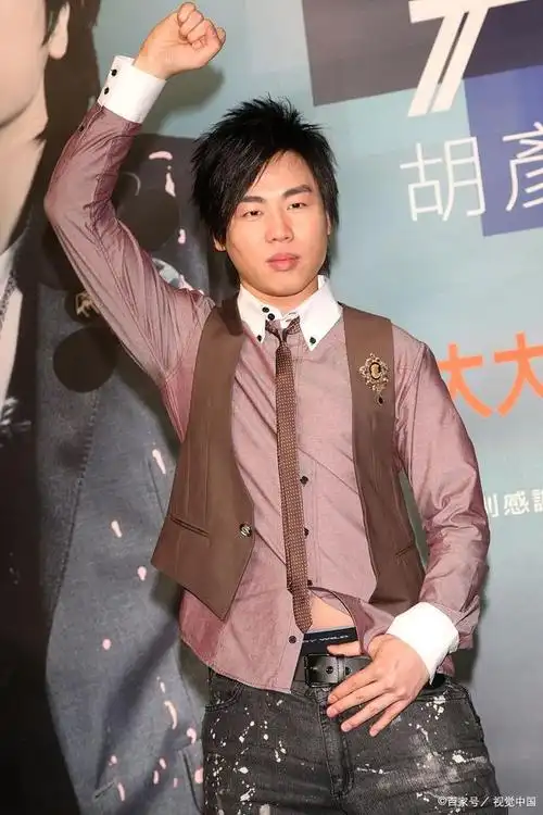 出道22年,胡彦斌自己参与作曲,作词的作品无数(包括自己的歌和为别人