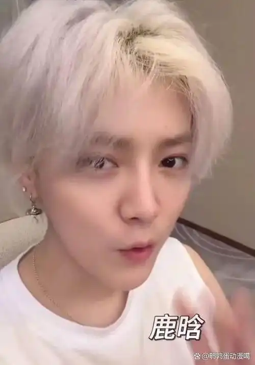 鹿晗ins回应剪发 扎辫乌龙引热议