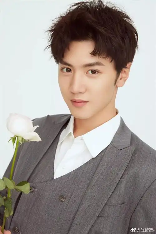 就比如说,这个有着多副面孔的新晋小鲜肉—— 陈哲远 2015年,陈哲远