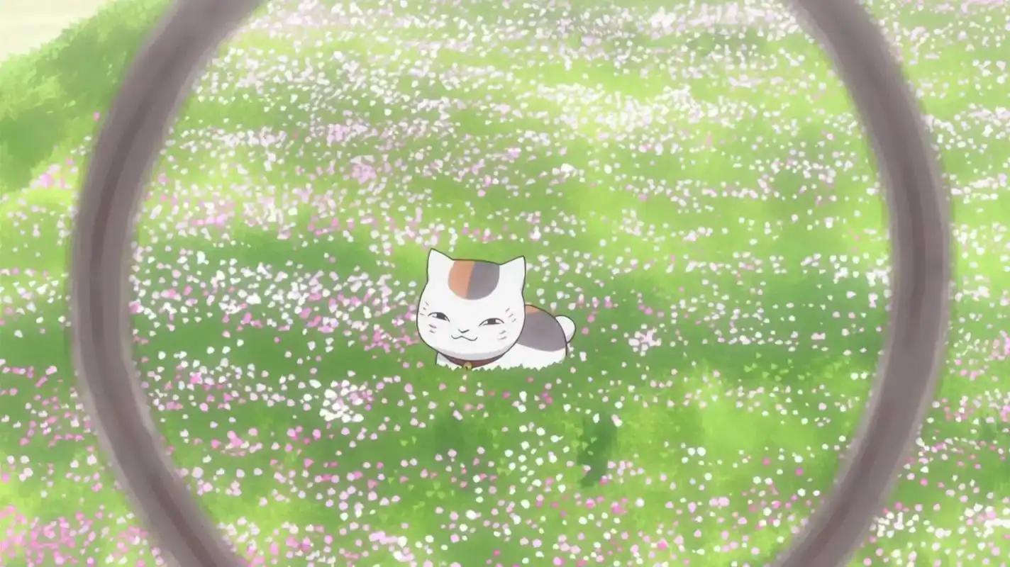 可爱的猫咪老师