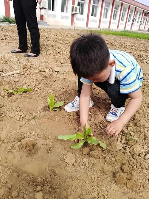 谷雨前后,种瓜点豆.一年一度的种植季,孩子们一起动起手来!