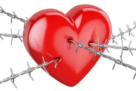 爱网买铁丝图片