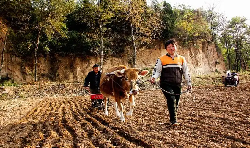 用镜头纪录农村百姓的平凡生活