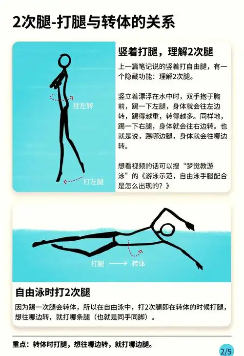 打腿节奏,看似简单,却蕴藏着自由泳的大学问.不同的打腿次数,如2次