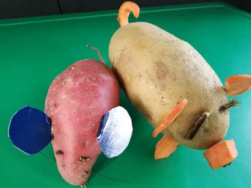 青岛西海岸新区高戈庄幼儿园亲子制作《果蔬变变变》一中班