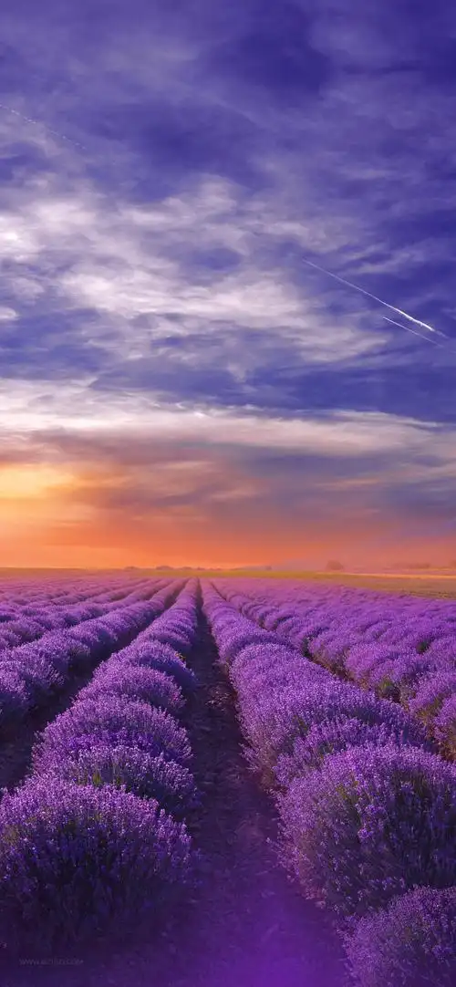 超高清竖屏风景图片大全-风景壁纸 - 壁纸之家