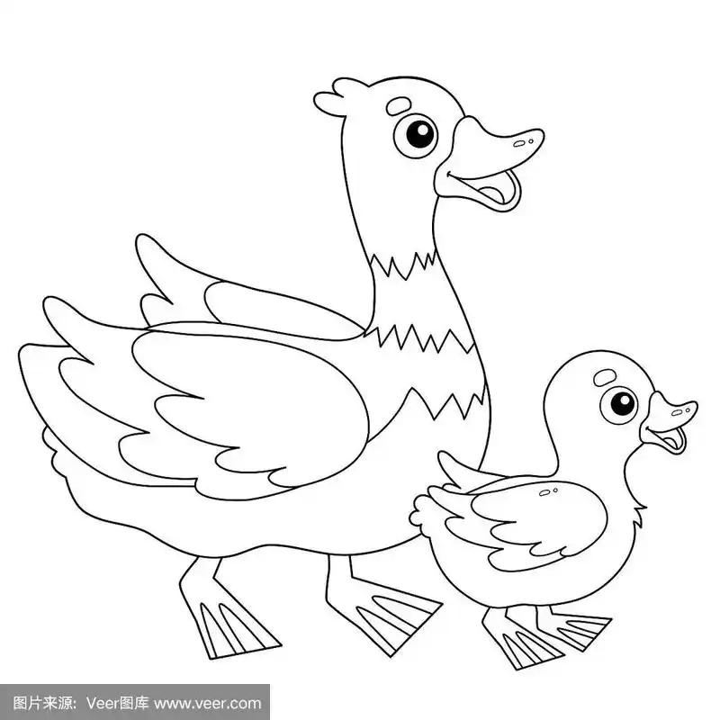 卡通鸭与小鸭子的画图页.农场动物.儿童涂色书.