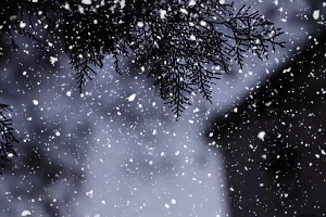 300_200gif 动态图 动图