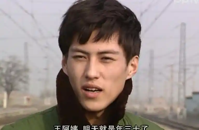 《伪装者》《琅琊榜》靳东走红 男人四十一枝花