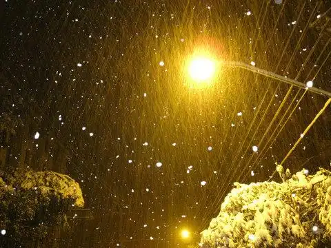 关于路灯的唯美句子及图片