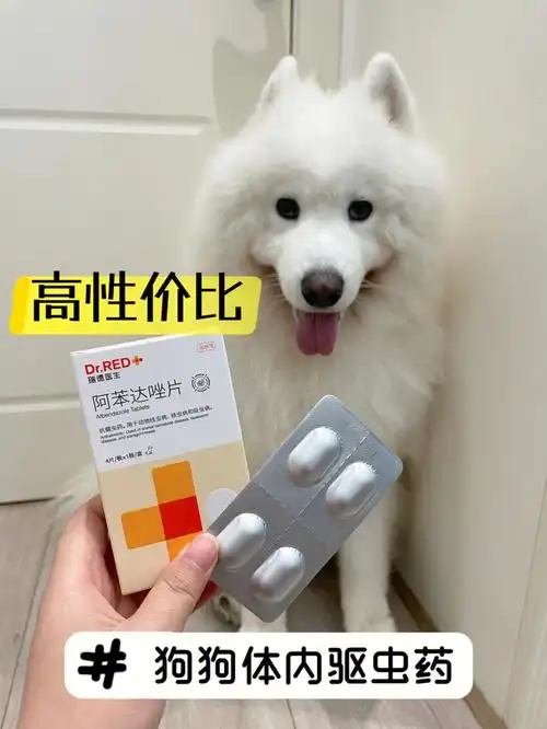 牌平替,狗用体内驱虫,瑞德医生阿苯达唑片9199!它