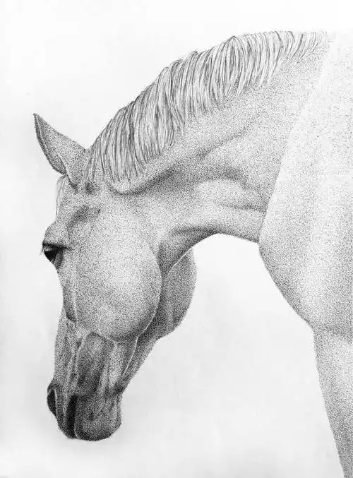 juliakoceva令人惊叹的点画作品